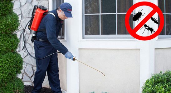 Sarıyahşi Fare İlaçlama böcek ilaçlama ve haşere kontrolü — ilaclama-tr.com